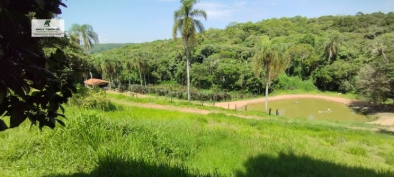Imagem Chácara com 2 Quartos à Venda, 15.000 m² em Sebandilha - Mairinque Imagem Chácara com 2 Quartos à Venda, 15.000 m² em Sebandilha - Mairinque