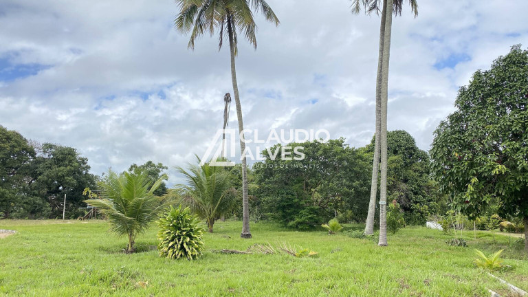 Imagem Terreno à Venda, 15.000 m² em Conceição - Feira De Santana Imagem Terreno à Venda, 15.000 m² em Conceição - Feira De Santana
