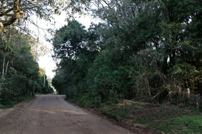 Imagem Terreno à Venda, 1.350 m² em águas Claras - Viamão