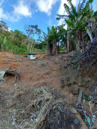 Imagem Terreno à Venda, 4.275 m² em Praia Grande - Ilhabela