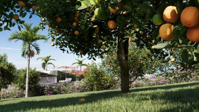 Imagem Terreno à Venda, 254 m² em Solar Monte Cristo - Senador Canedo Imagem Terreno à Venda, 254 m² em Solar Monte Cristo - Senador Canedo