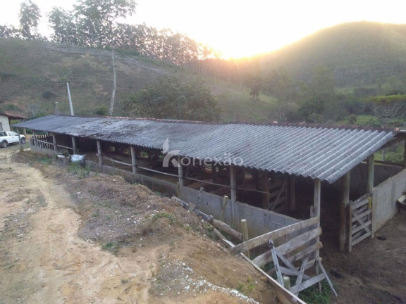 Imagem Chácara com 2 Quartos à Venda, 100 m² em Zona Rural - São Luíz Do Paraitinga Imagem Chácara com 2 Quartos à Venda, 100 m² em Zona Rural - São Luíz Do Paraitinga