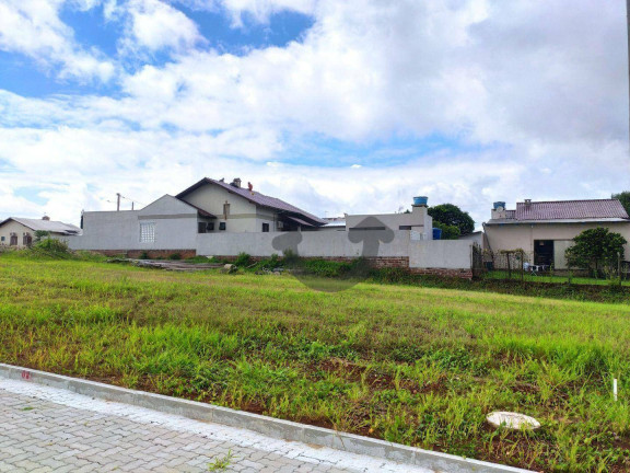 Imagem Terreno à Venda, 304 m² em Linha Santa Cruz - Santa Cruz Do Sul Imagem Terreno à Venda, 304 m² em Linha Santa Cruz - Santa Cruz Do Sul