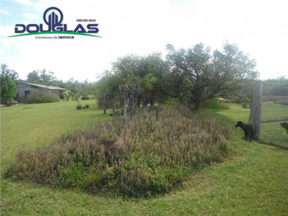 Imagem Chácara com 3 Quartos à Venda, 109 m² em Passo Vigário - Viamão