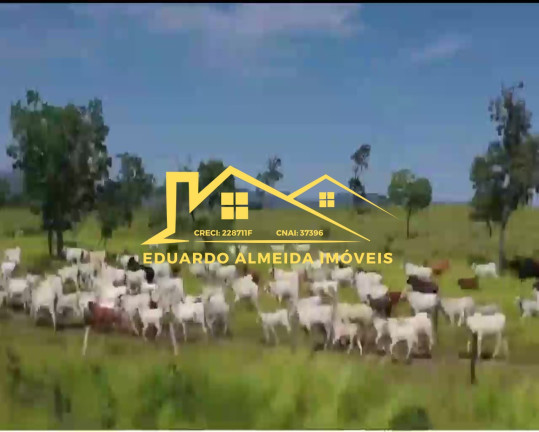Imagem Imóvel à Venda,  em Barreira Da Onça - Arraias
