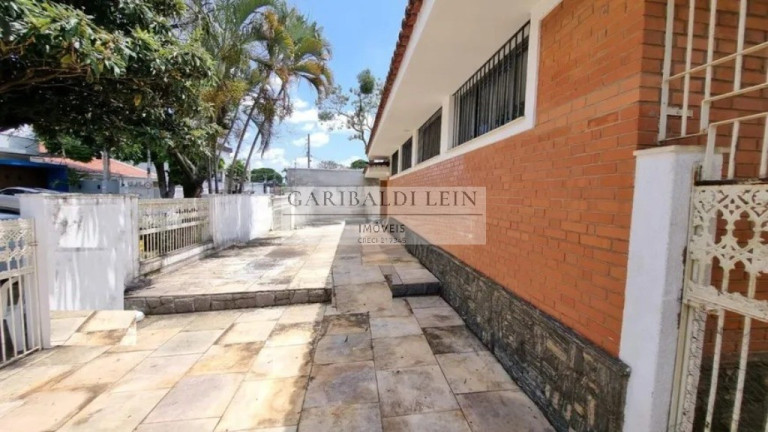 Imagem Imóvel com 3 Quartos à Venda, 350 m² em Nova Campinas - Campinas Imagem Imóvel com 3 Quartos à Venda, 350 m² em Nova Campinas - Campinas