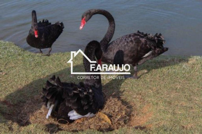 Imagem Imóvel com 3 Quartos à Venda, 452 m² em Ibiti Royal Park - Sorocaba Imagem Imóvel com 3 Quartos à Venda, 452 m² em Ibiti Royal Park - Sorocaba