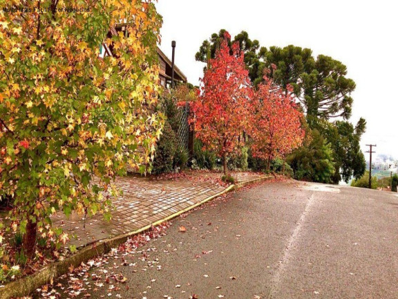 Imagem Casa com 5 Quartos à Venda, 600 m² em Recanto Do Sossego - Nova Petrópolis Imagem Casa com 5 Quartos à Venda, 600 m² em Recanto Do Sossego - Nova Petrópolis