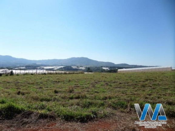 Imagem Chácara com 4 Quartos à Venda, 27.000 m² em Tanque - Atibaia
