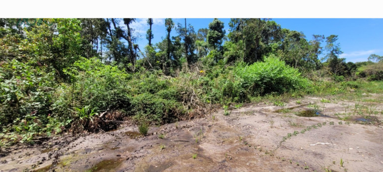 Imagem Terreno à Venda, 768 m² em Praia Das Palmeiras - Itapoá Imagem Terreno à Venda, 768 m² em Praia Das Palmeiras - Itapoá