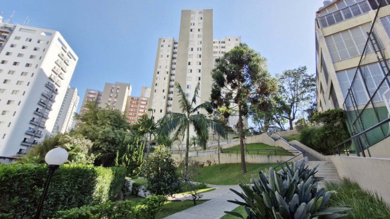 Imagem Apartamento com 3 Quartos à Venda, 64 m² em Vila Suzana - São Paulo Imagem Apartamento com 3 Quartos à Venda, 64 m² em Vila Suzana - São Paulo