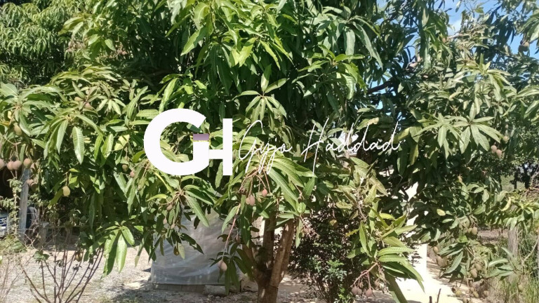 Imagem Chácara com 1 Quarto à Venda, 4.985 m² em Piedade