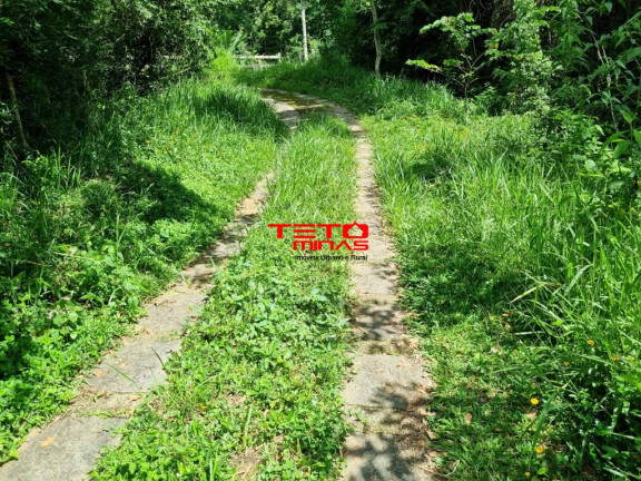 Imagem Imóvel com 3 Quartos à Venda,  em Zona Rural - Pouso Alto