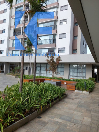 Imagem Imóvel com 3 Quartos à Venda, 87 m² em Jardim Brasil - Campinas Imagem Imóvel com 3 Quartos à Venda, 87 m² em Jardim Brasil - Campinas