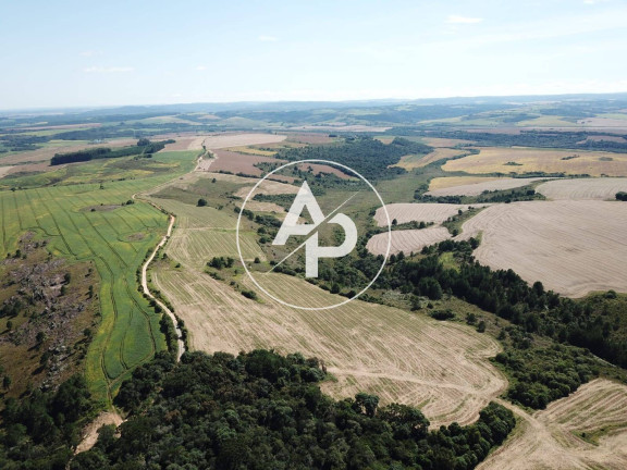 Imagem Fazenda à Venda, 19 m² em Palmeira