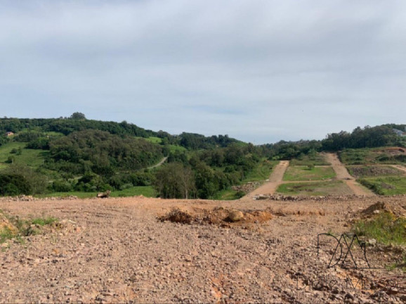 Imagem Terreno à Venda, 330 m² em Nossa Senhora Das Graças - Caxias Do Sul