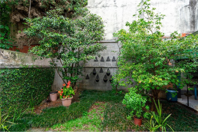 Imagem Casa com 4 Quartos à Venda, em Chácara Monte Alegre - São Paulo Imagem Casa com 4 Quartos à Venda, em Chácara Monte Alegre - São Paulo