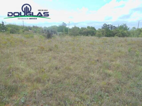 Imagem Imóvel Comercial à Venda, 3.640 m² em Morro Grande - Viamão