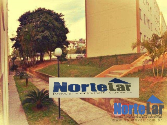 Imagem Apartamento com 2 Quartos à Venda, 52 m² em Vila Dionisia - São Paulo Imagem Apartamento com 2 Quartos à Venda, 52 m² em Vila Dionisia - São Paulo