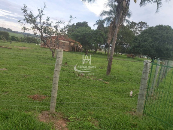 Imagem Fazenda à Venda, em Neves Paulista Imagem Fazenda à Venda, em Neves Paulista