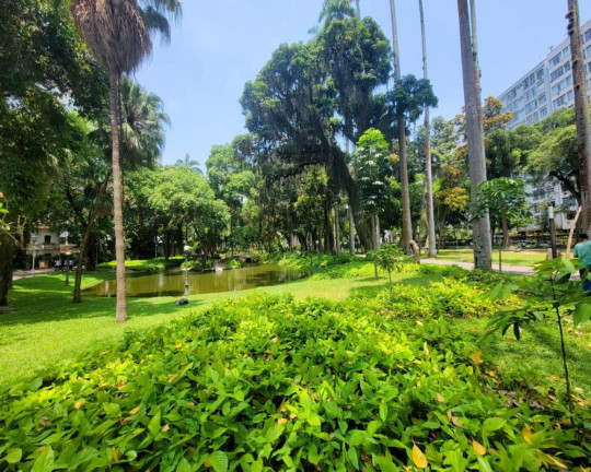 Imagem Kitnet com 1 Quarto à Venda, 40 m² em Flamengo - Rio De Janeiro