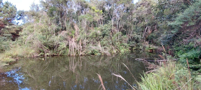 Imagem Chácara com 2 Quartos à Venda, 1 m² em Bateias - Campo Largo