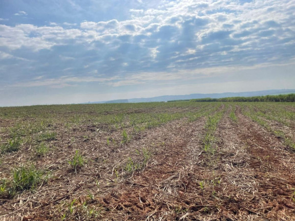 Imagem Fazenda à Venda, 303 m² em Rural - Itaí