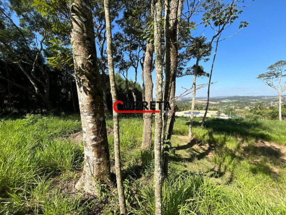 Imagem Terreno à Venda, 2.000 m² em Centro - Ibiúna Imagem Terreno à Venda, 2.000 m² em Centro - Ibiúna