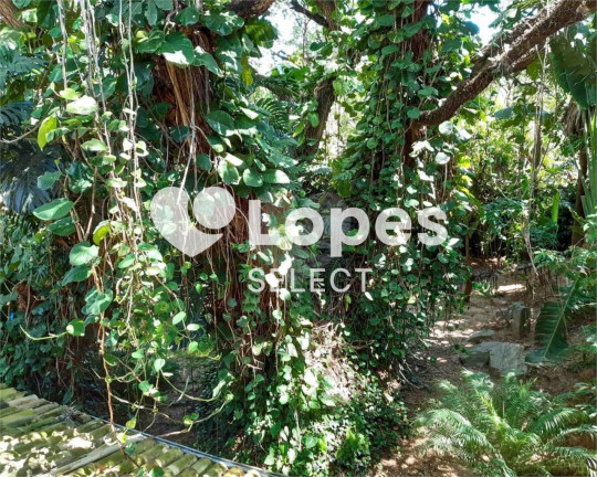 Imagem Casa com 4 Quartos à Venda, 675 m² em Gramado - Campinas Imagem Casa com 4 Quartos à Venda, 675 m² em Gramado - Campinas