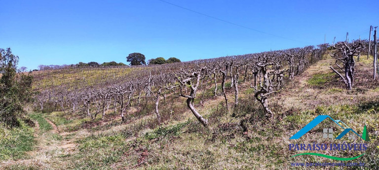 Imagem Chácara à Venda, 43 m² em Centro - Paraisópolis