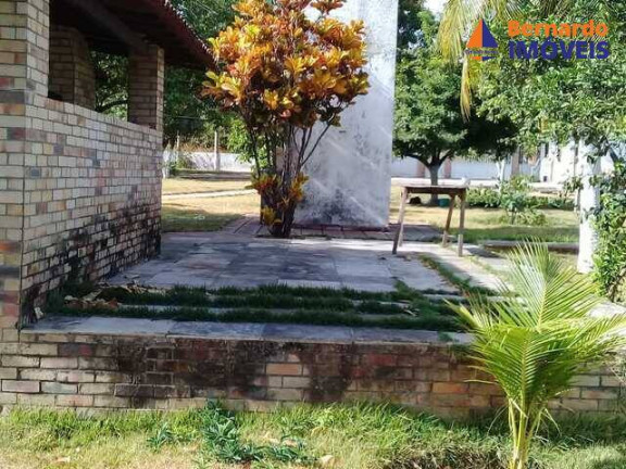 Imagem Chácara com 4 Quartos à Venda, 350 m² em Pedro De Souza - Cascavel Imagem Chácara com 4 Quartos à Venda, 350 m² em Pedro De Souza - Cascavel