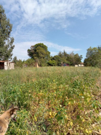 Imagem Chácara com 3 Quartos à Venda, 130.000 m² em Cantagalo - Antônio Olinto Imagem Chácara com 3 Quartos à Venda, 130.000 m² em Cantagalo - Antônio Olinto