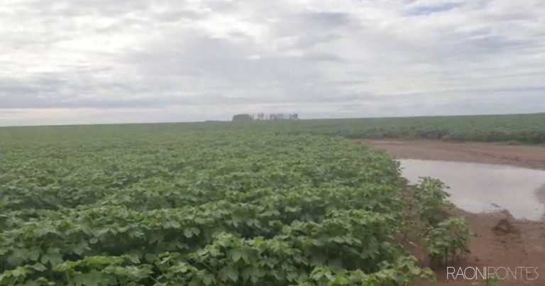 Imagem Fazenda à Venda, 34.060.000 m² em Zona Rural - Novo São Joaquim Imagem Fazenda à Venda, 34.060.000 m² em Zona Rural - Novo São Joaquim