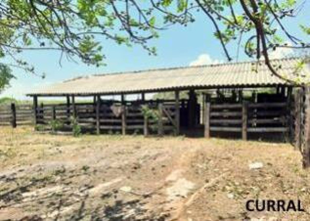 Imagem Fazenda à Venda, 1.357 m² em Jangada Imagem Fazenda à Venda, 1.357 m² em Jangada