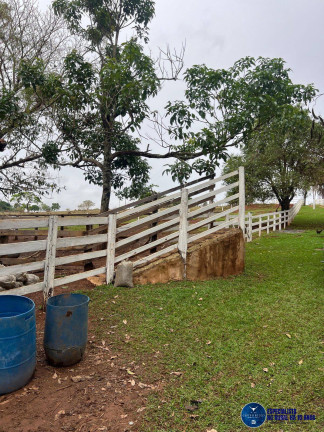 Imagem Chácara à Venda, 4 m² em Vila Jayara - Anápolis Imagem Chácara à Venda, 4 m² em Vila Jayara - Anápolis