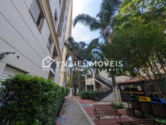 Imagem Apartamento com 2 Quartos à Venda, 48 m² em Vila Firmiano Pinto - São Paulo Imagem Apartamento com 2 Quartos à Venda, 48 m² em Vila Firmiano Pinto - São Paulo