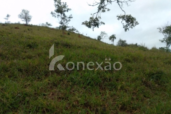 Imagem Chácara com 4 Quartos à Venda, 300 m² em Canaã - Jambeiro Imagem Chácara com 4 Quartos à Venda, 300 m² em Canaã - Jambeiro