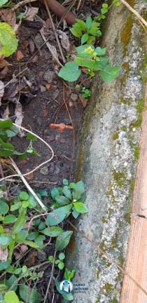 Imagem Terreno à Venda, 750 m² em Chácaras Rio-petrópolis - Duque De Caxias