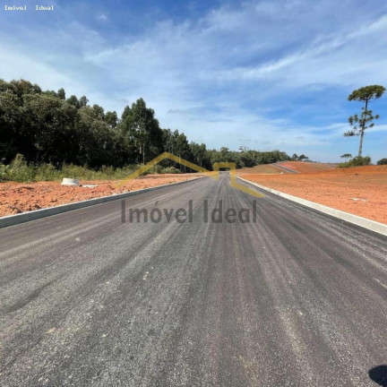 Imagem Terreno à Venda, 230 m² em Costeira - Araucária Imagem Terreno à Venda, 230 m² em Costeira - Araucária