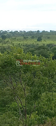 Imagem Fazenda à Venda, 1.411 m² em Poxoréo Imagem Fazenda à Venda, 1.411 m² em Poxoréo