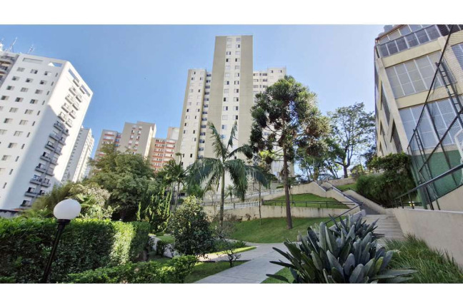 Imagem Imóvel com 3 Quartos à Venda, 64 m² em Vila Andrade - São Paulo Imagem Imóvel com 3 Quartos à Venda, 64 m² em Vila Andrade - São Paulo