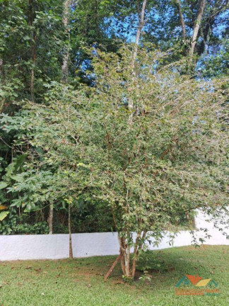 Imagem Casa com 3 Quartos à Venda, 137 m² em Massaguaçu - Caraguatatuba