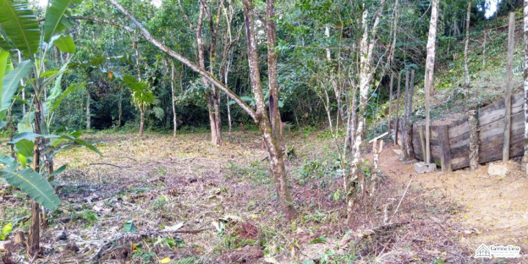 Terreno à Venda, 4.500 m² em Ubatumirim - Ubatuba