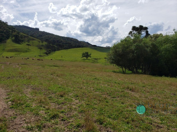 Imagem Imóvel à Venda, em Interior - Bom Retiro Imagem Imóvel à Venda, em Interior - Bom Retiro