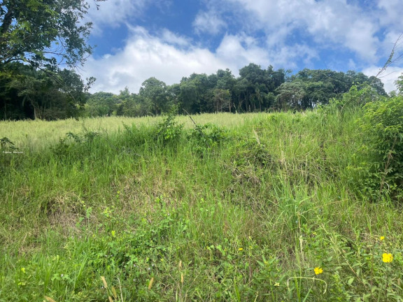 Imagem Terreno à Venda, 56.379 m² em Sc 155 - Itá Imagem Terreno à Venda, 56.379 m² em Sc 155 - Itá