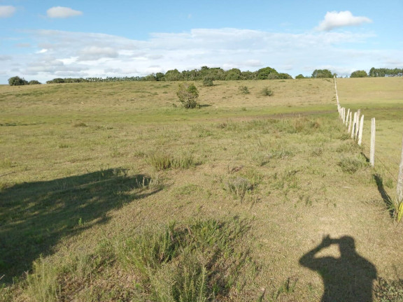 Imagem Chácara à Venda, 60.000 m² em Capão Da Porteira - Viamão