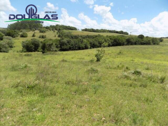 Imagem Chácara com 2 Quartos à Venda, 190.000 m² em Viamão