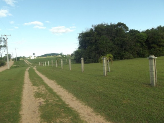 Imagem Chácara à Venda, 4.000 m² em águas Claras - Viamão