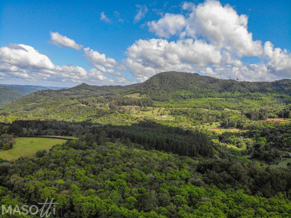 Imagem Chácara à Venda, 30.000 m² em Linha 28 - Gramado Imagem Chácara à Venda, 30.000 m² em Linha 28 - Gramado
