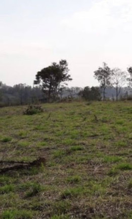 Imagem Imóvel à Venda, 5.000 m² em Traviú - Jundiaí